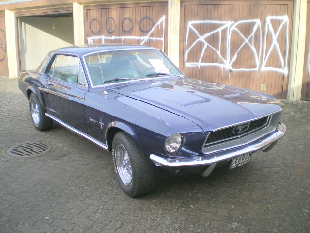 Mustang